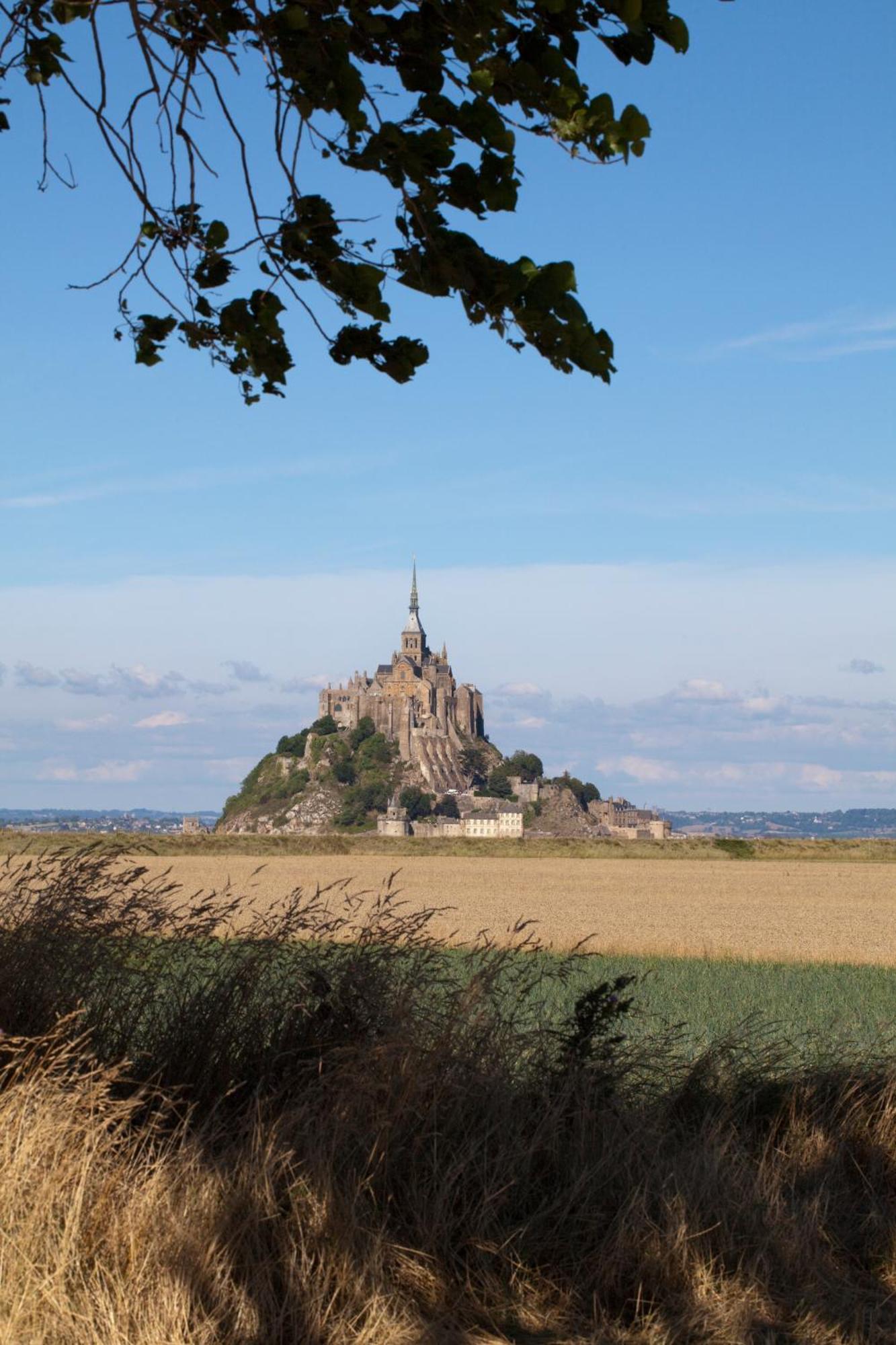 Château de La Ballue - Les Collectionneurs Val-Couesnon Exterior foto
